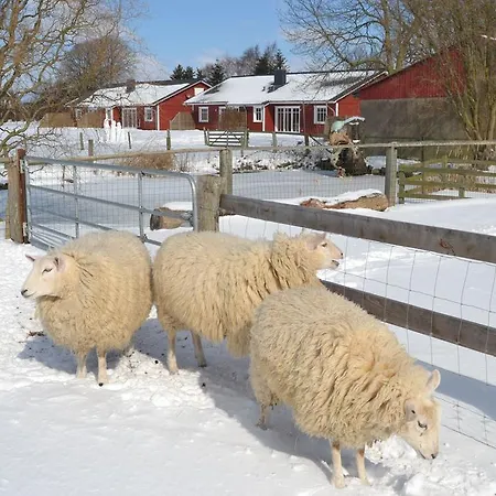 Ferienwohnung Im Bauernhaus Siems * Dahme (Schleswig-Holstein)